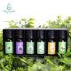 Antiphlogistic Skin Care Essential Oils Eucalyptus Improve Roughness Lightening