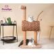 Indoor Giraffe Shaped 0.9kg Cat Climbing Frame