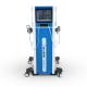 Vertical Shockwave Therapy Equipment 2 In 1 EMS Shockwave Machine For Body Massage