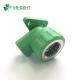 Green Forged PPR Fitting for Male and Female Elbow PN25 Hot Water Pipe Fitting