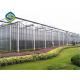 Multi Span Horticultural Glass Greenhouse With Ventilation Hot Galvanized
