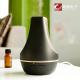 100ML Electronic Aroma Diffuser With Natural Sound Music