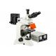 Camera Infinity Epi Led Fluorescent Microscope WF10X Eyepiece Genetics Research