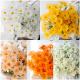 OEM Silk Daisy Artificial Plastic Flowers Yellow White Orange Pink For Supermarket