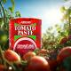 340g Bottle Ketchup Tin Tomato Paste With Salt Citric Acid