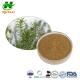 Rosemary Extract Powder 10%-98% Rosmarinic Acid Extract CAS 20283-92-5