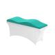 The Ergonomics high-resilience foam Nap beauty salon velvet bed topper mattress