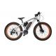 48v Electric Mountain Bike , Front Disc Brake Electric Powered Bicycle Brushless Motor