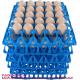 Plastic Tray And Egg Box Plastic Egg Tray For 30 Holes Egg Plastic Tray Plastic Egg Racks
