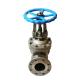 Y Type DN80 PN16 Carbon Steel Industrial Rising Stem Flange Gate Valve with Pipe Fittings