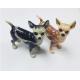 Cute small metal decorative trinket boxes Chihuahua dog jewelry box