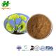 CAS 90045-36-6 Ginkgo Biloba Leaf Extract Powder 24% Ginkgo-Flavone Glycosides