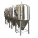 After Service Video Technical GHO Stainless Steel Jacketed Conical Fermenters Silver