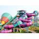 Gaint Water Park Slides Equipment Tantrum Valley for Amusement Theme Park