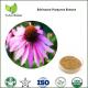 echinacea extract,echinacea purpurea extract,echinacea herb extract,cichoric acid