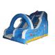 Large Commercial Inflatable Water Slides For Adults Fireproof PVC Material Made