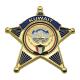 3D Gold Plating Metal Badge Zinc Alloy Army Emblem Clothes Lapel Pins Customized