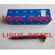 DELPHI fuel injector EMBR00301D R00301D 6710170121 A6710170121 for SSANGYONG Korando injector