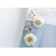3 Days Quick Delivery Whole Sale Daisy World Spanish Style Earrings Clip With Real Daisy