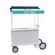 Customized Europe Style Ice Cream Vending Tricycle With 125L Freezer
