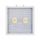 Energy Saving LED Plant Grow Light Home Use With Low Power Consumption