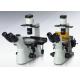 PL10X22mm Eyepiece Laboratory Biological Microscope 6V 30W Halogen NCQ - 600