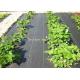 80gsm Non Woven Weed Control Fabric For Vegetables