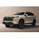 HAVAL H6 200km Max. Speed 5 Seats 5 Doors SUV Left-hand Drive