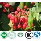 cranberry extract proanthocyanidins 5%-50%