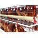 Type Automatic System 128 Poultry Chicken Cages Egg Layer Farm Equipment