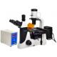 Epi LED Fluorescent Microscope Trinocular 40X 1000X Biology Lab Microscope