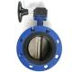 DN1400 BS EN 593 DI  wormgear Rotork Auma Captop Underground butterfly valve