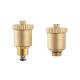 3507 3508 Automatic Air-Vent Brass Valves Vertically Central Exhausting DN15 DN20 DN25 with Optional Check Function