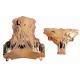 All Kinds Of Color Availiable Casket Corner 1# B For Wooden Casket Handle And Decoration