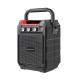 Remote Control Bass Bluetooth Speaker Music Karaoke Microphone Woofer Recorder MIC Aux Dc 5v