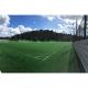 8500 Dtex Outdoor Grass Carpet 2m/4m Width PP+Net Backing Football Artificial Grass