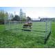 Steel Round Rails Livestock 1.8m Hdg Cattle Yard Panels