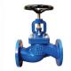 High Temperature Cast Iron Globe Valve Blue RAL 5017 Color ANSI Standard