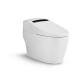 Waterproof Air Purification Acrylic ABS Intelligent Flushing Toilet Seat