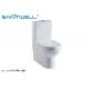 Siphonic WC Close coupled tpye Sanitary Ware WC Bathroom Design
