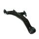 Hyundai Trajet 2005-2008 Lower Control Arm with E-Coating and SPHC Steel from Autozone