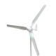 White Small Horizontal Wind Turbine For Home Use 600W 800W 1000W 12V 24V 48V