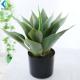 Home Ornament Faux Potted Agave 43cm Height 5-10 Years Life Time Anti UV