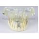 transparent sinus lift  implant model  Dental Model of osteoporosis dental materials