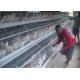 96 Capacity Egg Layer Chicken Cage Hot Dipped Galvanized Surface Treatment