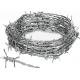 Hot Dip Galvanized Iron Barbed Wire 3.4mm For Farm Fencing / Military Protection