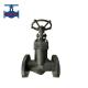 Bellows Globe Valve