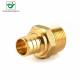 Pex Pipe 1''X1 Male MNPT Adapter Brass Pipe Fitting