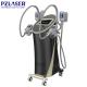 Vertical Sculpture Fat Freeze Machine , Double Chin Removal Machine Pain Free