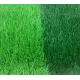 Green Carpet Artificial Grass Turf 20mm From Hebei Factory